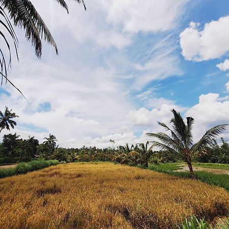 Bunga Maliq Bungalow Lombok 테테바투 외부 사진