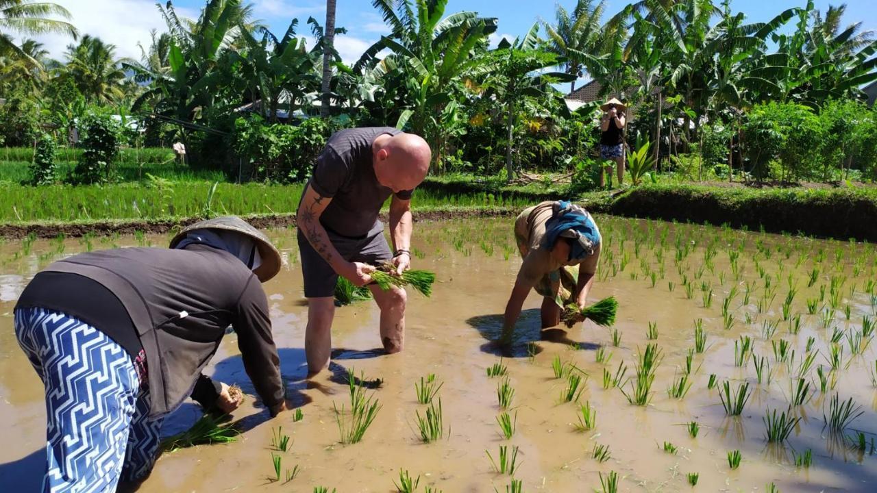 Bunga Maliq Bungalow Lombok 테테바투 외부 사진