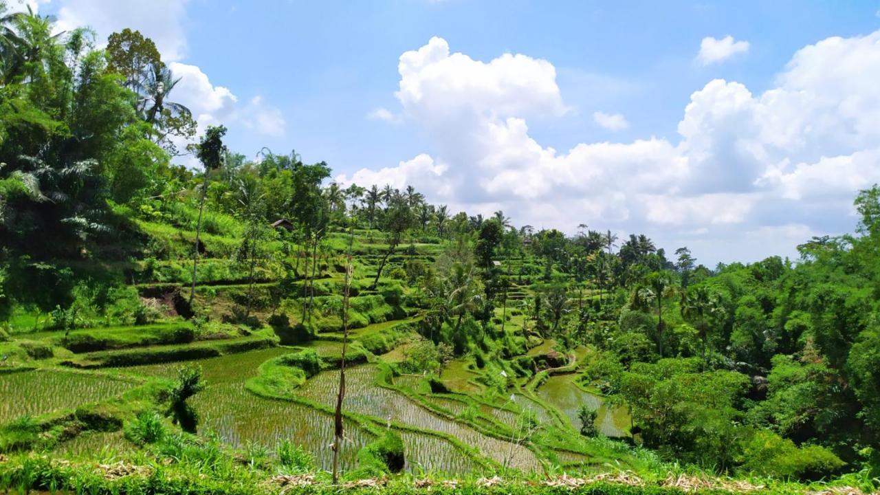 Bunga Maliq Bungalow Lombok 테테바투 외부 사진