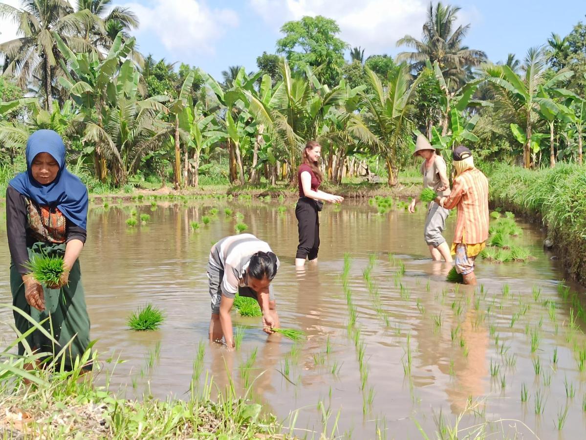 Bunga Maliq Bungalow Lombok 테테바투 외부 사진