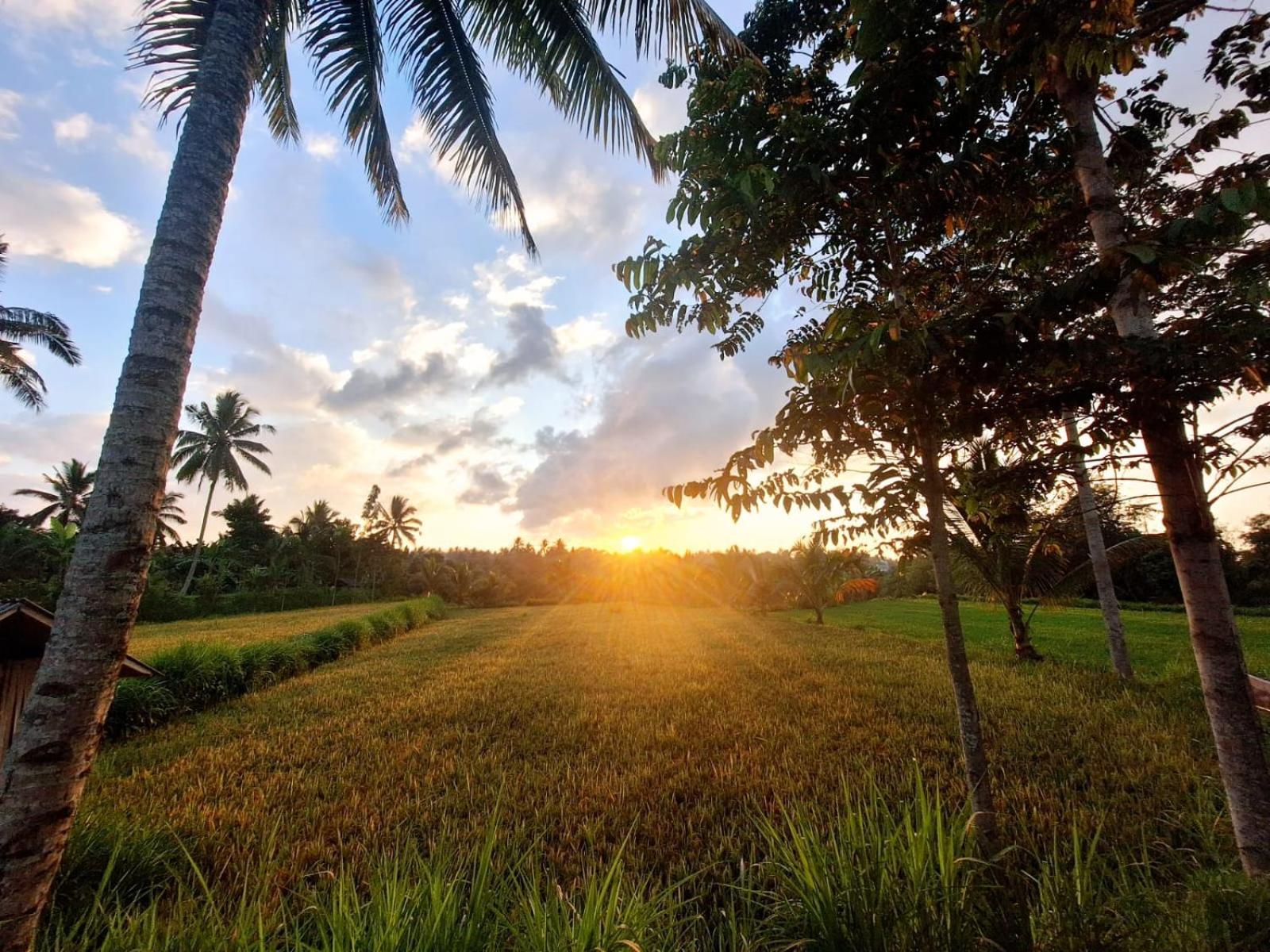 Bunga Maliq Bungalow Lombok 테테바투 외부 사진