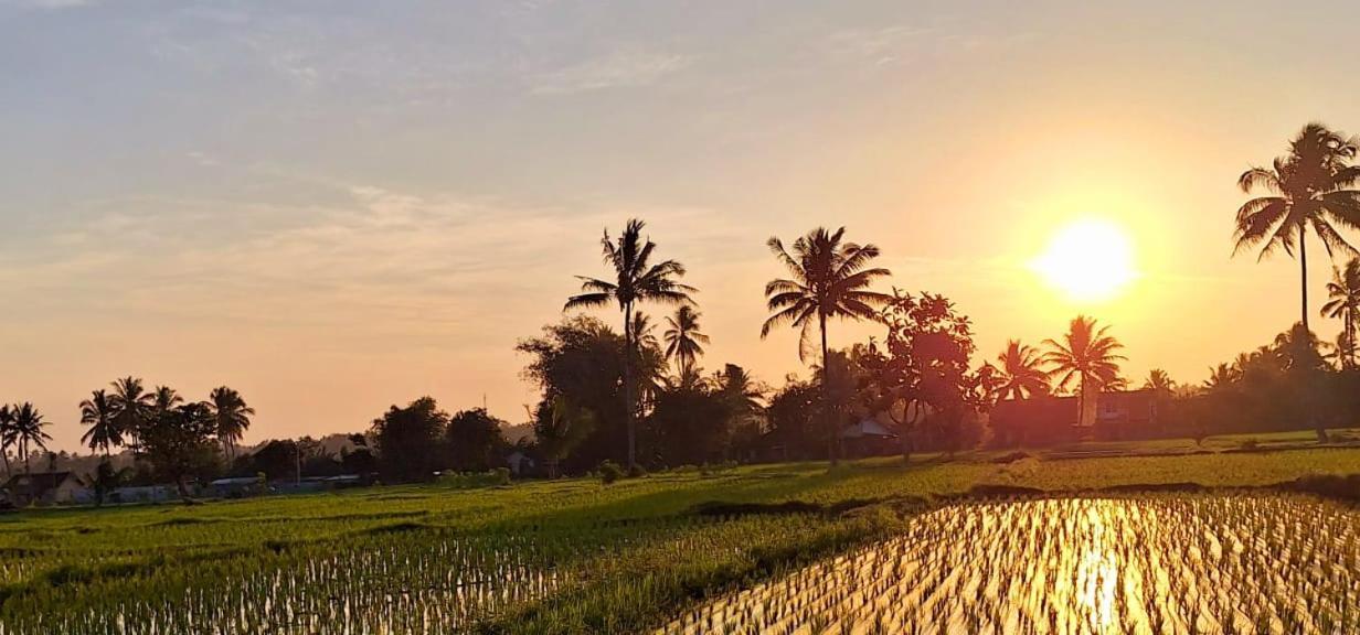 Bunga Maliq Bungalow Lombok 테테바투 외부 사진