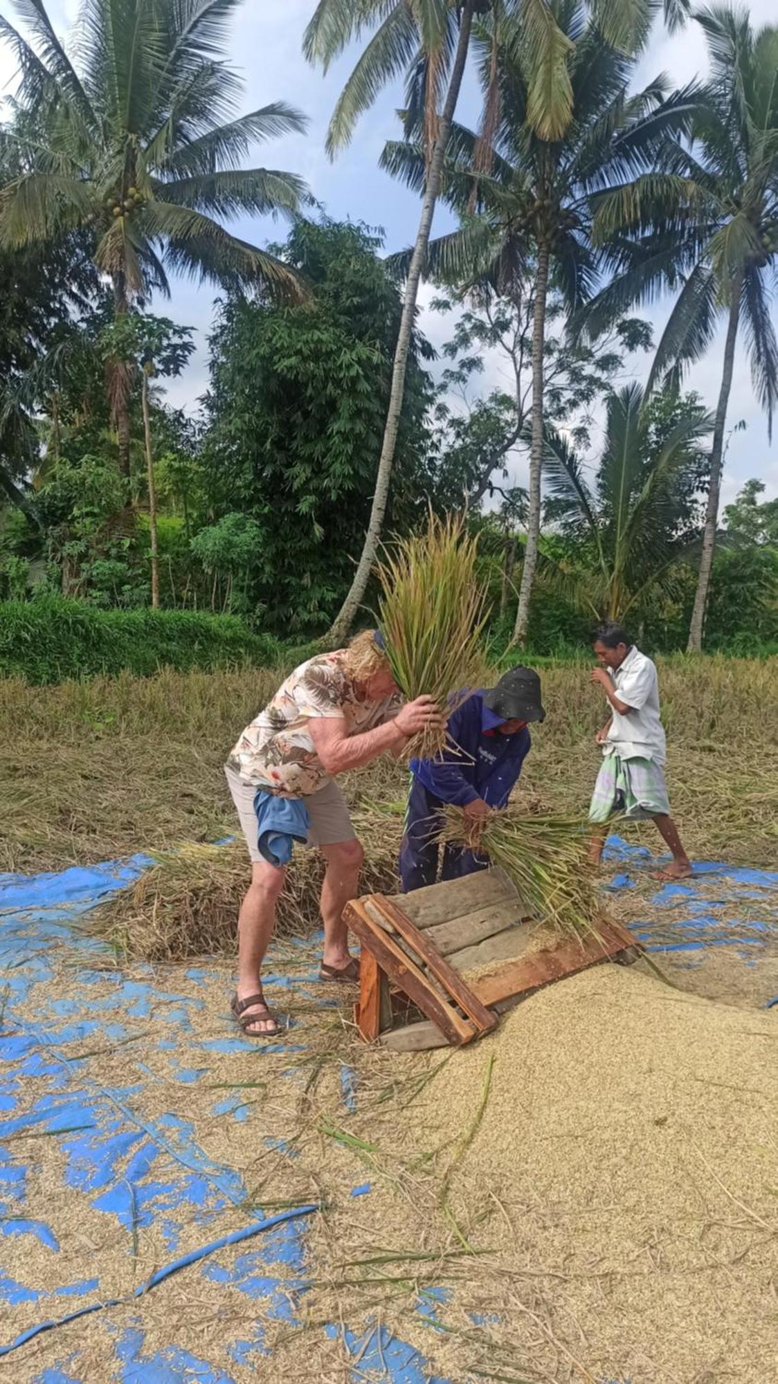 Bunga Maliq Bungalow Lombok 테테바투 외부 사진