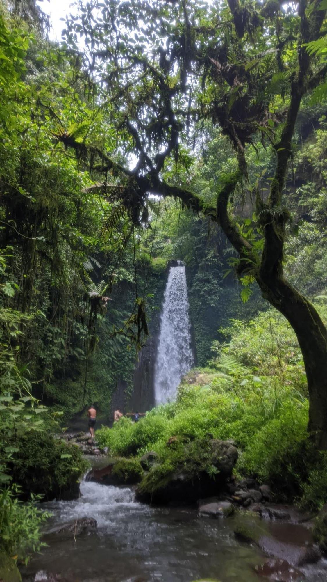 Bunga Maliq Bungalow Lombok 테테바투 외부 사진