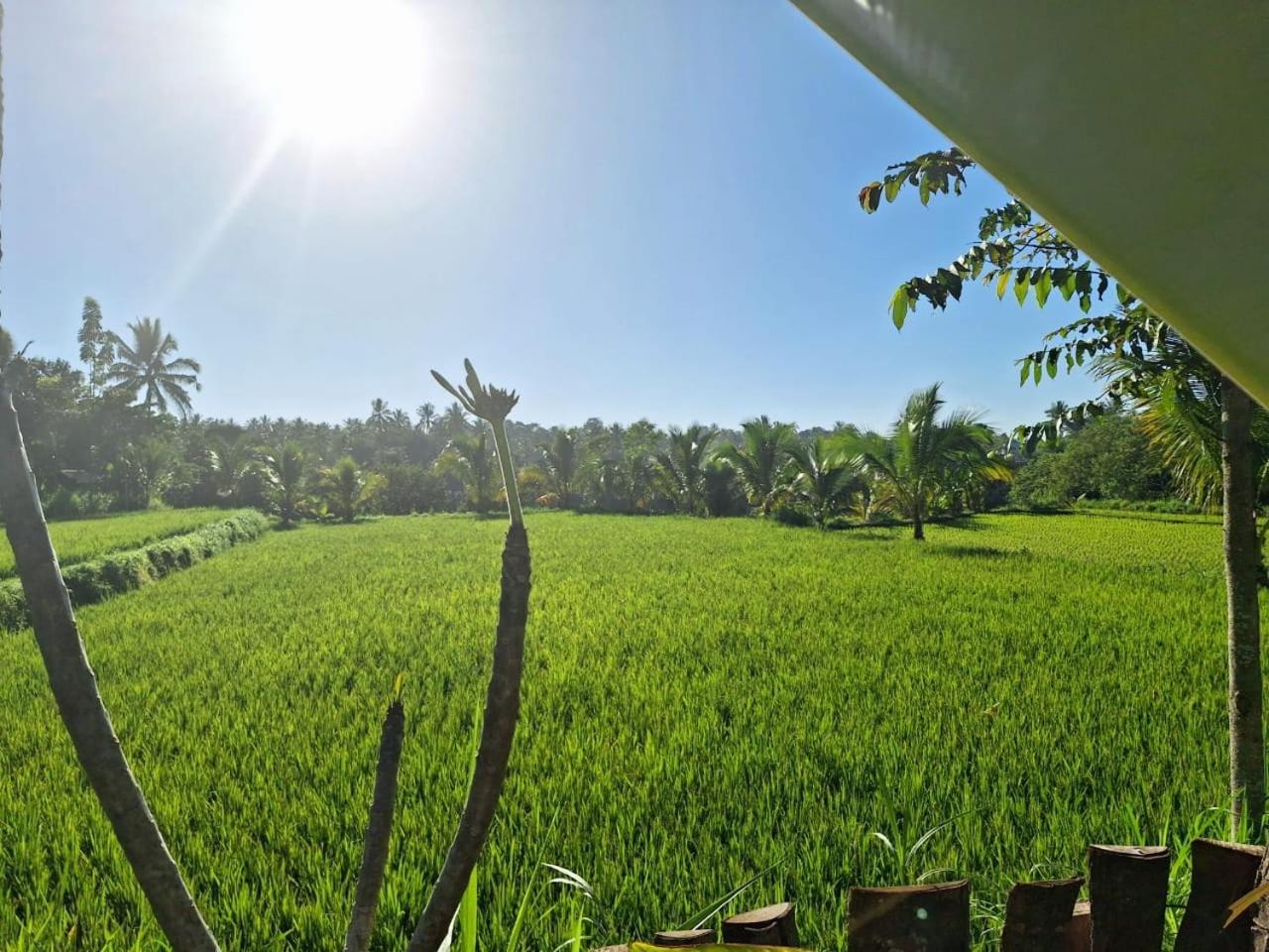 Bunga Maliq Bungalow Lombok 테테바투 객실 사진