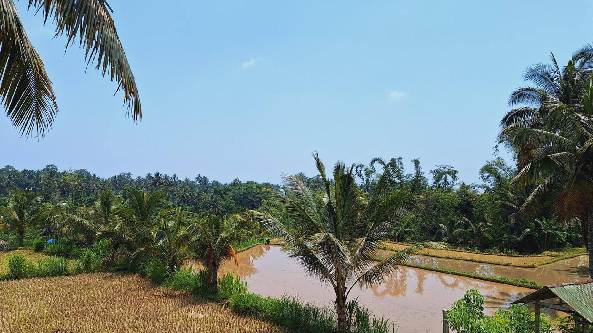 Bunga Maliq Bungalow Lombok 테테바투 외부 사진