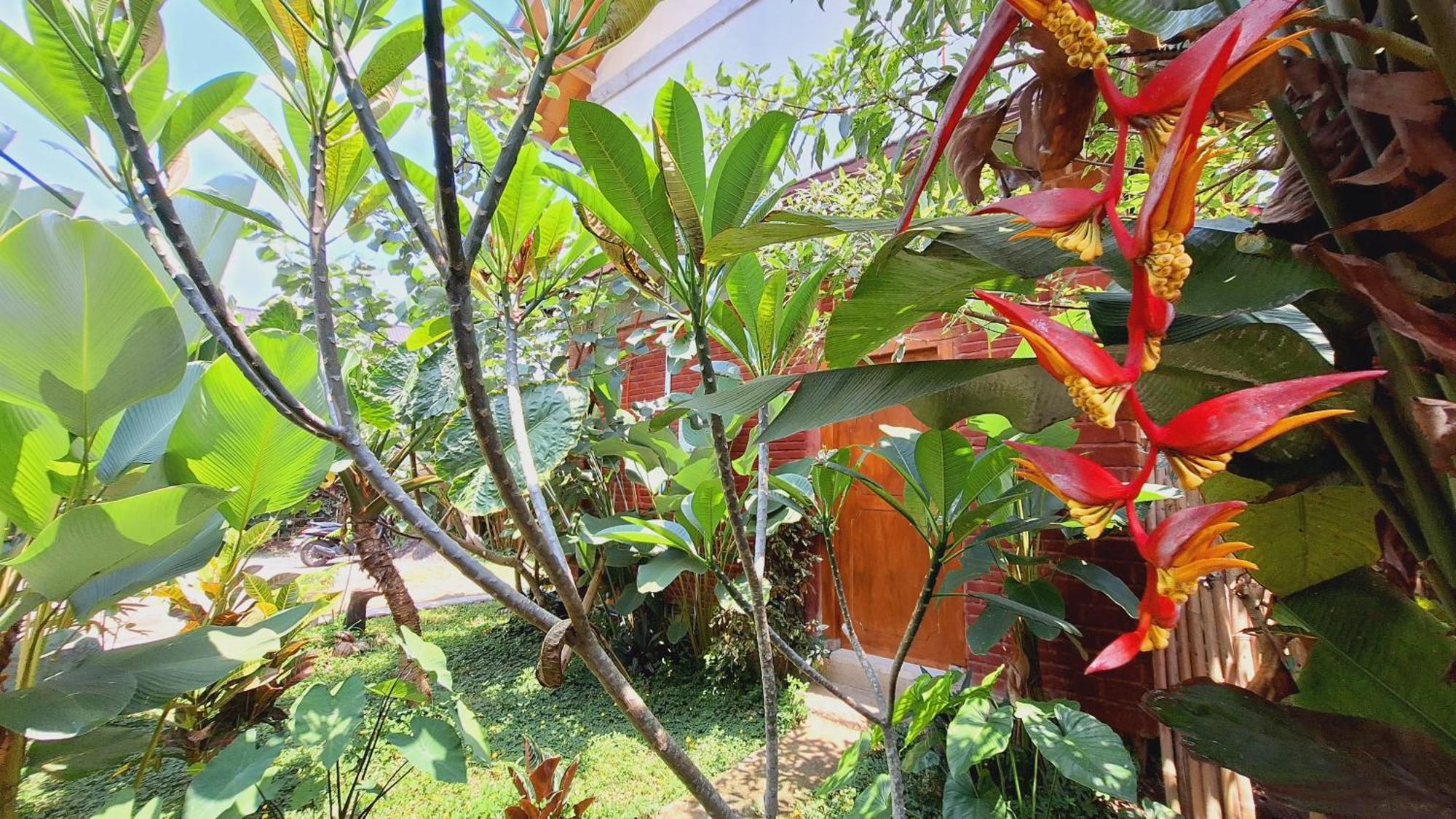 Bunga Maliq Bungalow Lombok 테테바투 객실 사진