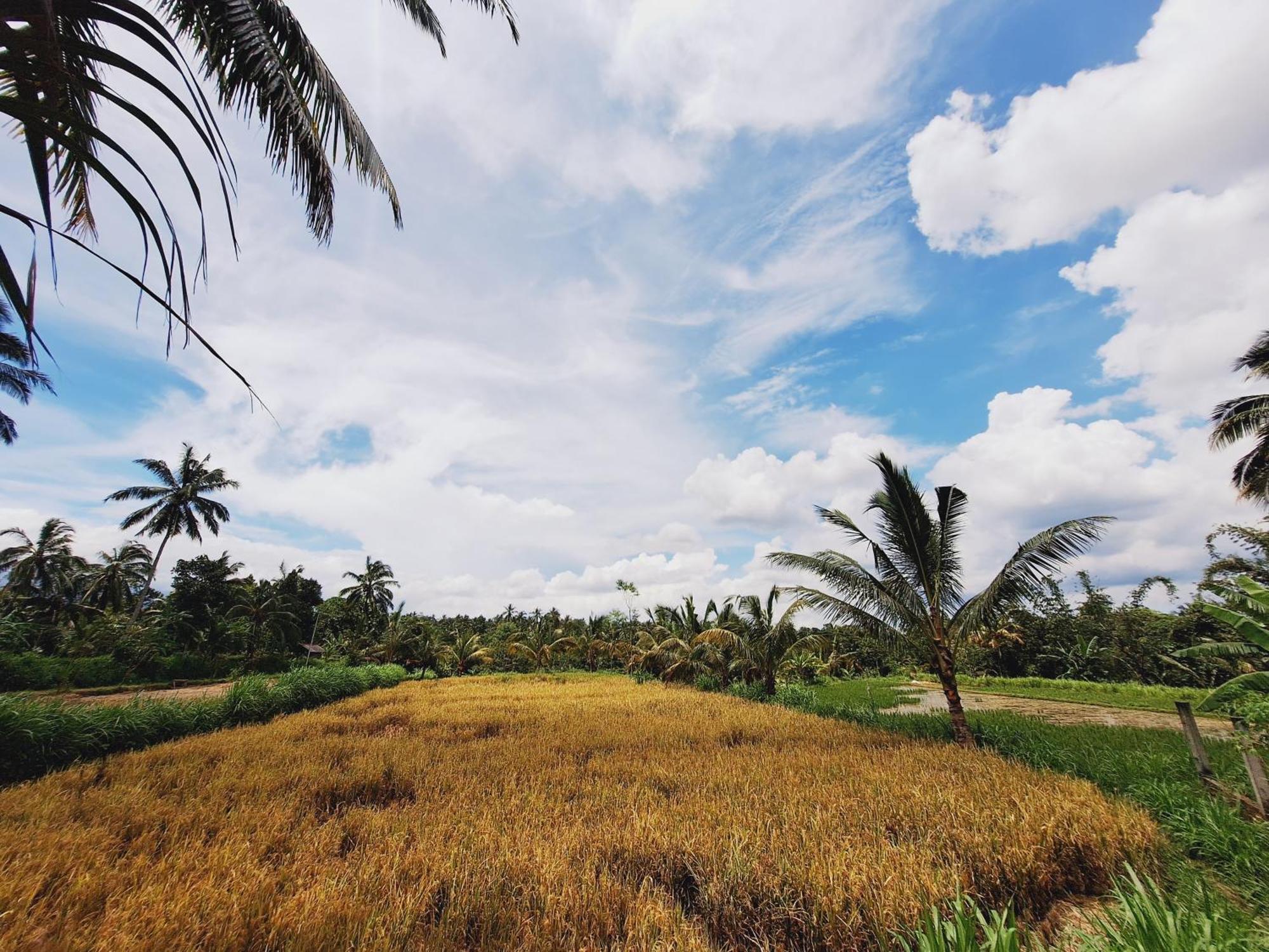Bunga Maliq Bungalow Lombok 테테바투 외부 사진